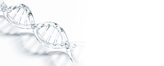banner-img3.jpg