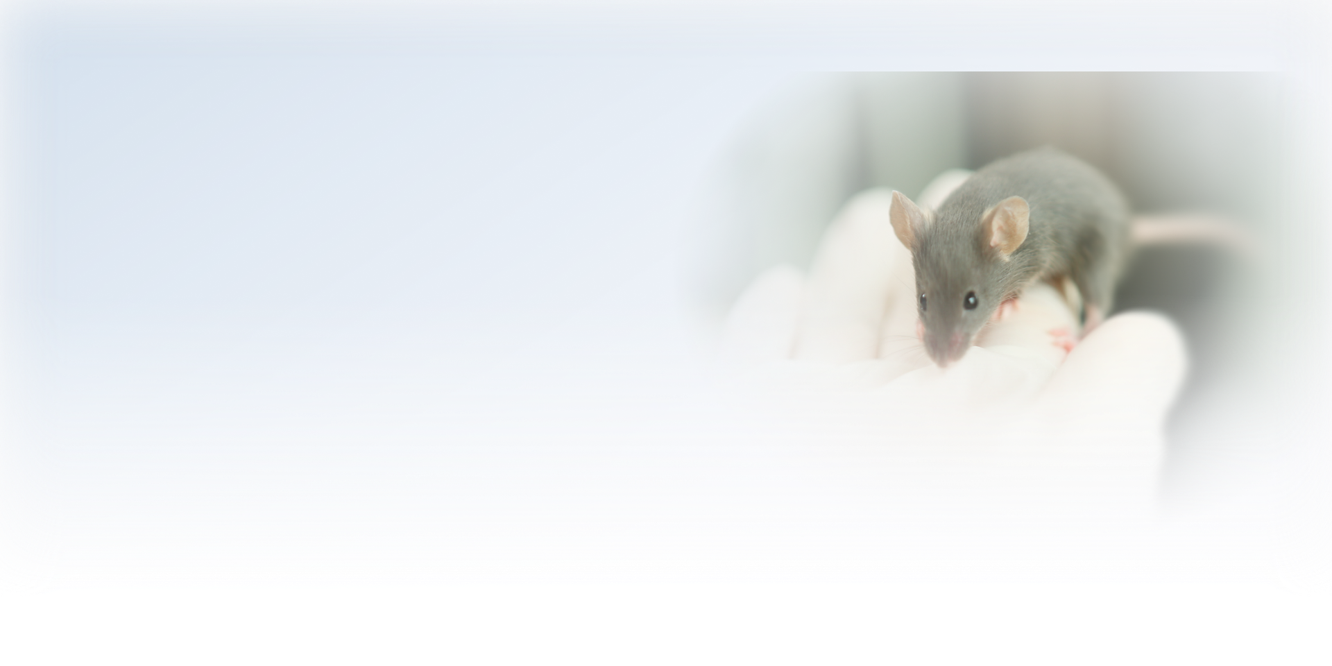 mouse-recommend-banner.CLI69W1w.png
