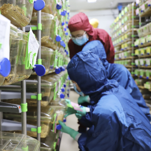 Genetic-Quality-Control-&-Stability-Programs.jpg