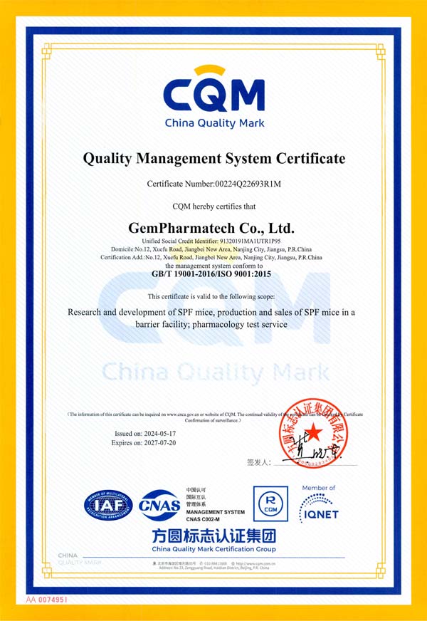 ISO9001