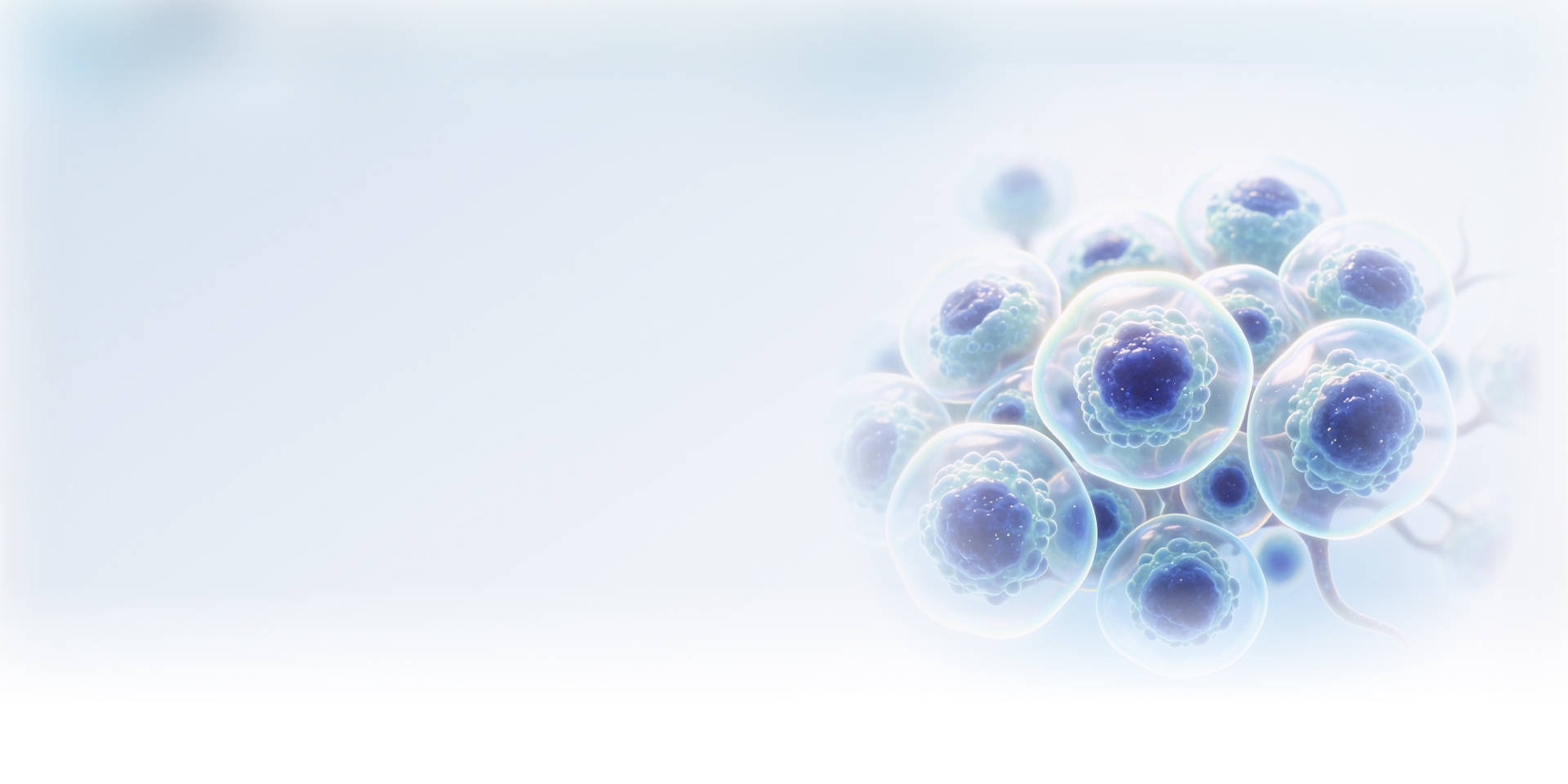 oncology banner.jpg