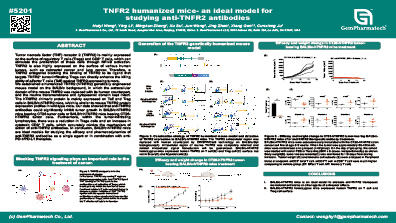 TNFR2 humanized mice- an ideal model for studying anti-TNFR2 antibodies