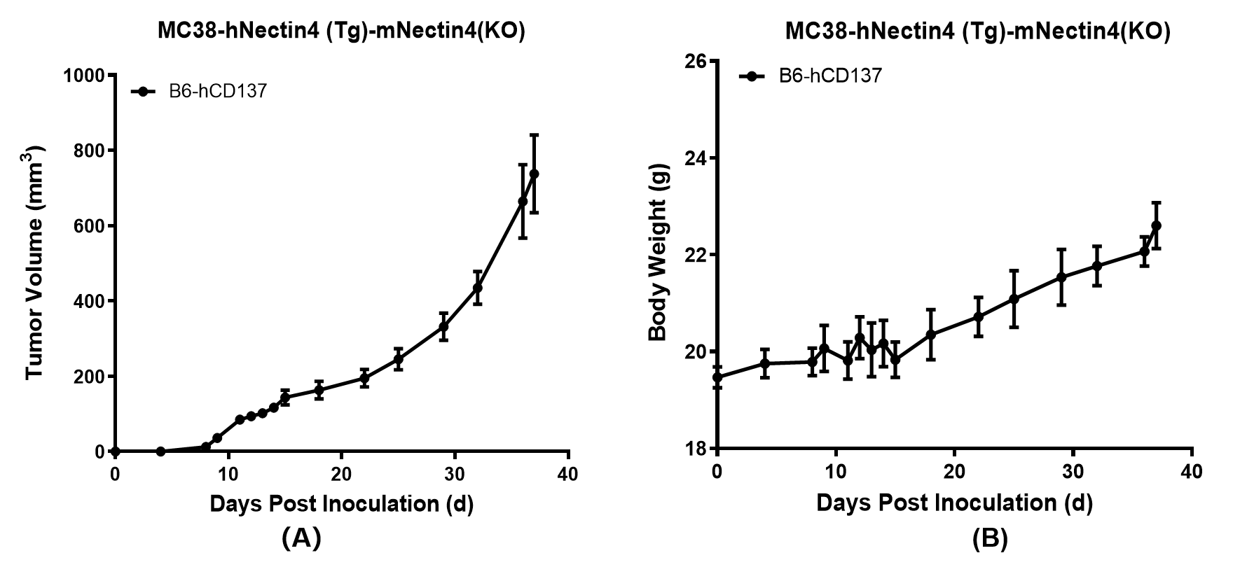 MC38-hNectin4 (Tg)-mNectin4(KO)_GemPharmatech