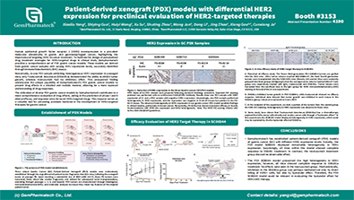 Patient-derived xenograft (PDX) models with differential HER2 expression for preclinical evaluation of HER2-targeted therapies