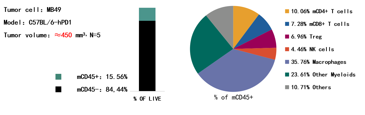 20240808-150348.png