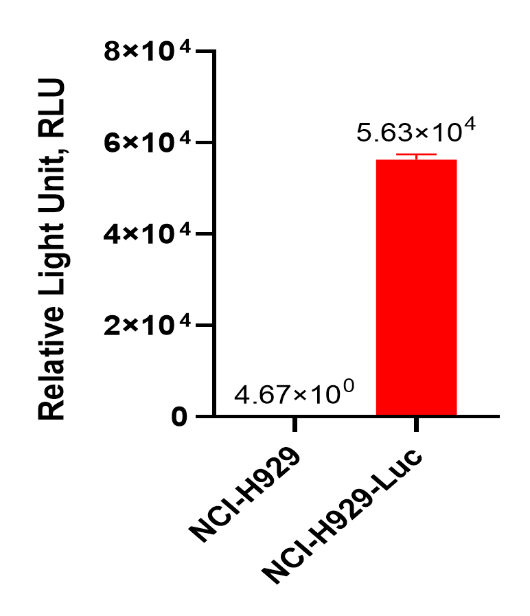 C300060 图1.png