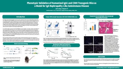 Phenotypic Validation of Humanized IgA1 and CD89 Transgenic Mice as a Model for IgA Nephropathy-Like Autoimmune Disease