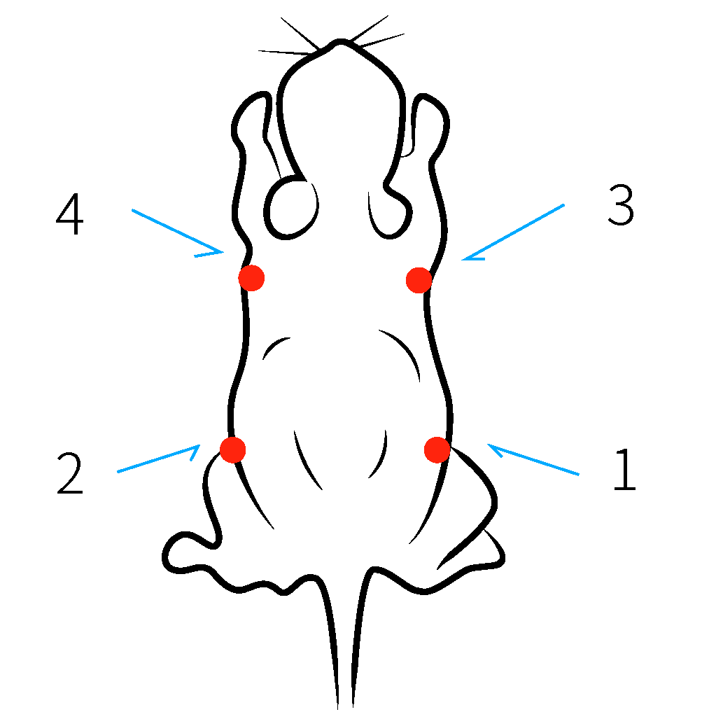 图片7.png