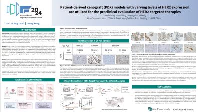 Patient-derived xenograft (PDX) models with varying levels of HER2 expression are utilized for the preclinical evaluation of HER2-targeted therapies