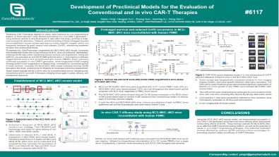 Development of Preclinical Models for the Evaluation of Conventional and in vivo CAR-T Therapies