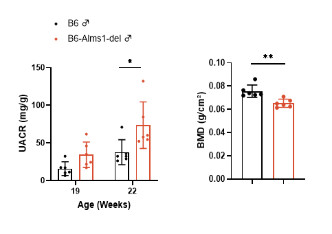 10.png