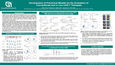 Development of Preclinical Models for the Evaluation of Conventional and in vivo CAR-T Therapies