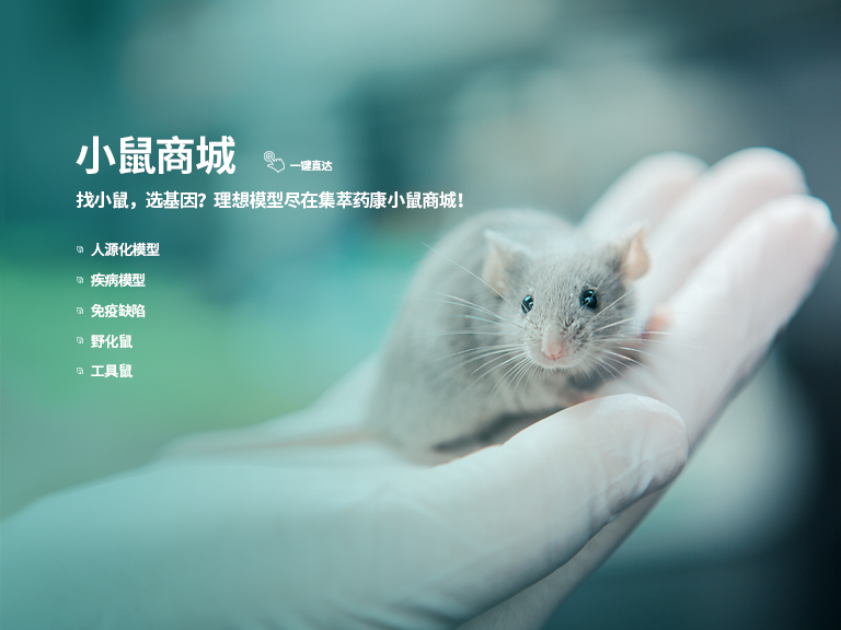 小鼠商城