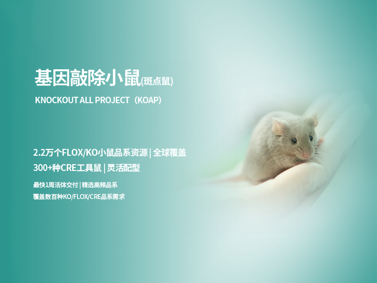 动物实验小鼠|基因小鼠模型构建|临床前研究机构_集萃药康