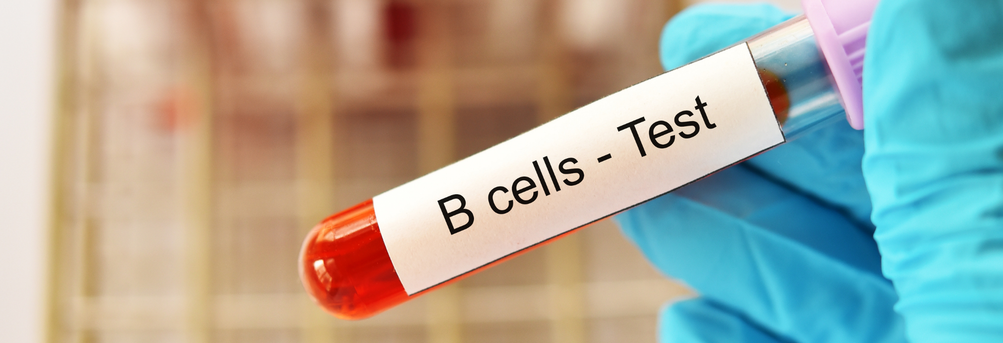 2000x685 for website (3).png