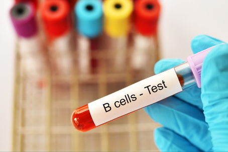 Evaluating CD20 Antibody Efficacy Using BAFF/CD20 Dual-Target Humanized Mice