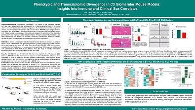 Phenotypic and Transcriptomic Divergence in C3 Glomerular Mouse Models: Insights into Immune and Clinical Sex Correlates