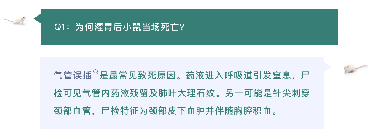 企业微信截图_ec826de6-bdd7-4842-b3a8-ac35bff49bad.png