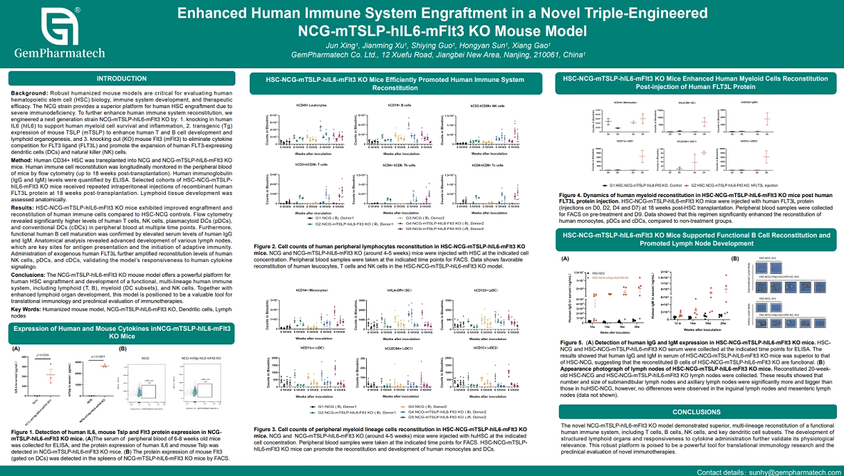 Enhanced Human Immune System Engraftment in a Novel Triple-Engineered NCG-mTSLP-hIL6-mFlt3 KO Mouse Model