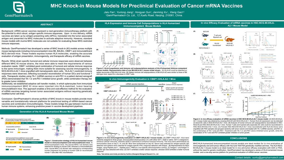 MHC Knock-in Mouse Models for Preclinical Evaluation of Cancer mRNA Vaccines