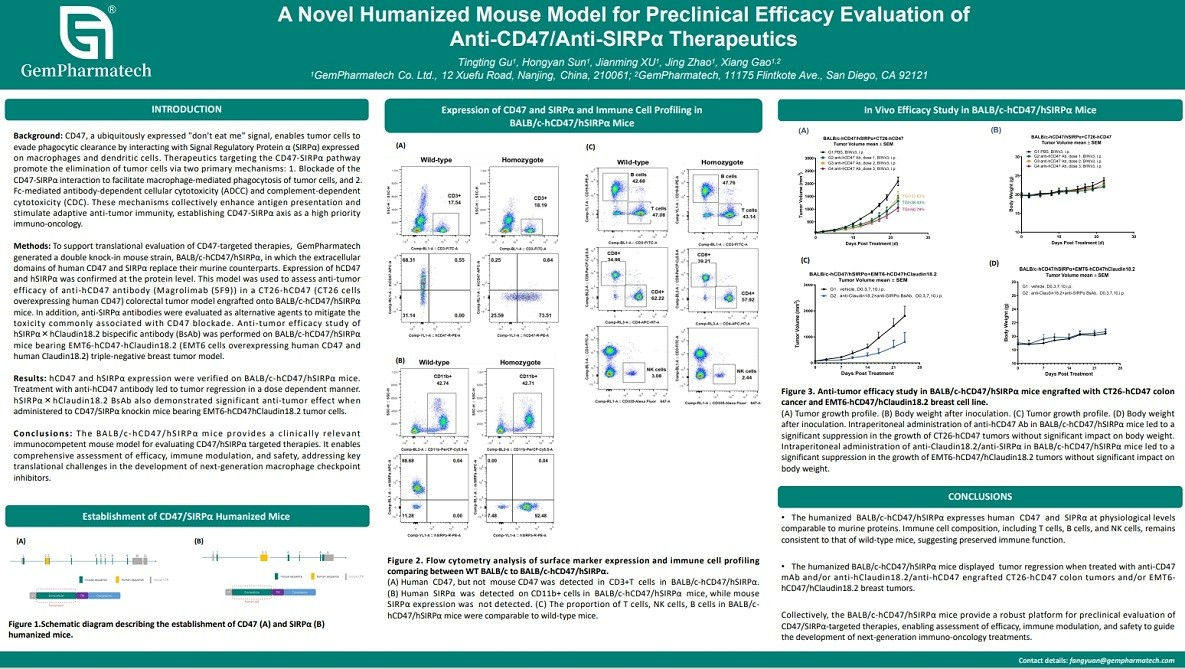 A Novel Humanized Mouse Model for Preclinical Efficacy Evaluation of Anti-CD47/Anti-SIRPα Therapeutics