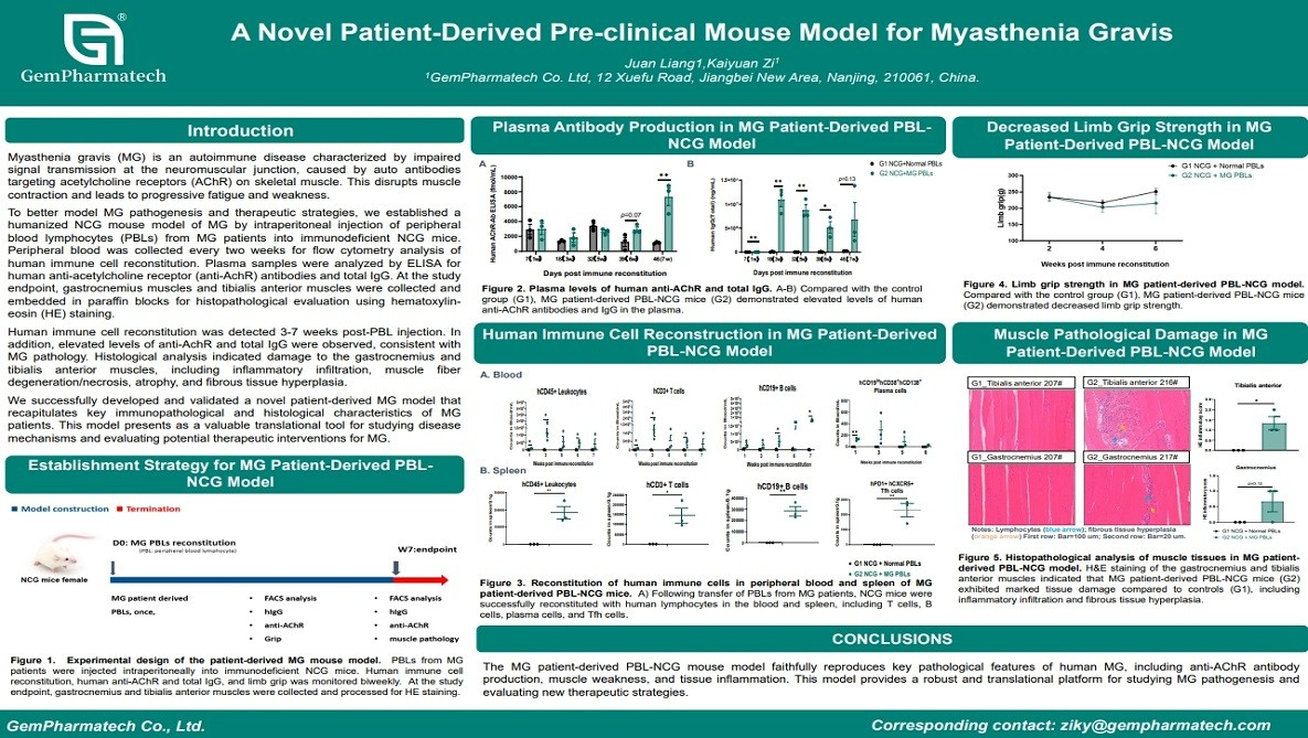 A Novel Patient-Derived Pre-clinical Mouse Model for Myasthenia Gravis