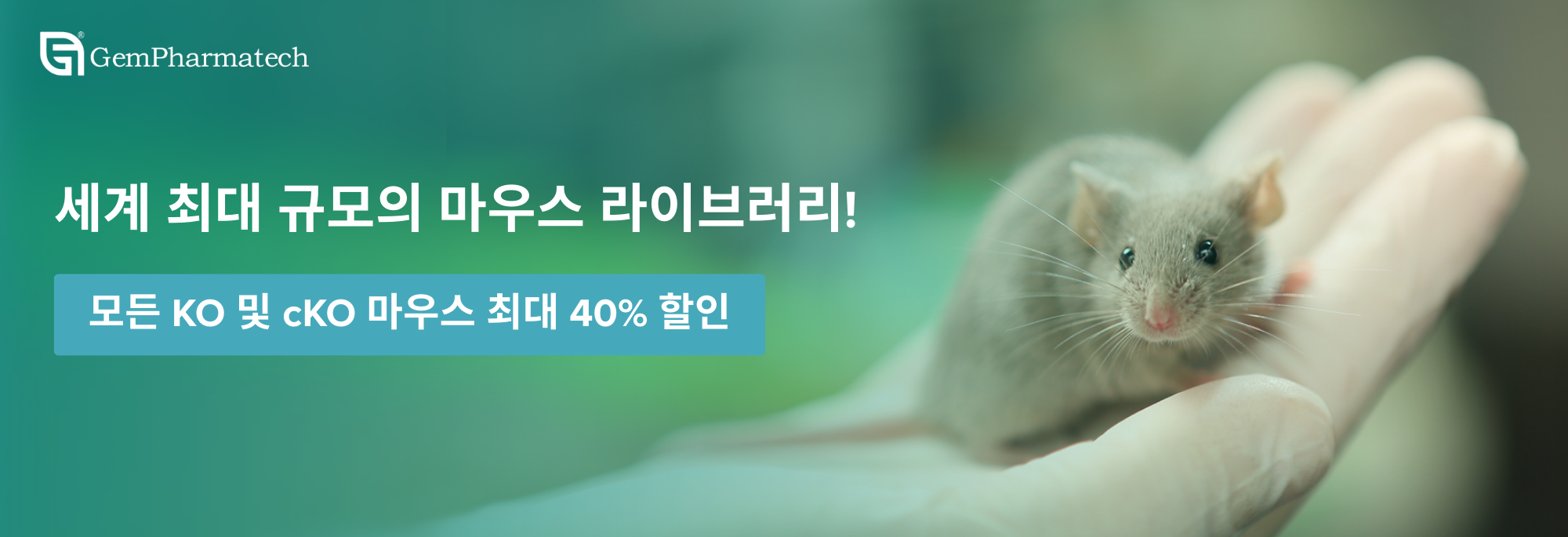 iBric Ad 1140x96.png