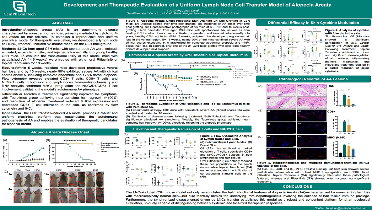 Development and Therapeutic Evaluation of a Uniform Lymph Node Cell Transfer Model of Alopecia Areata