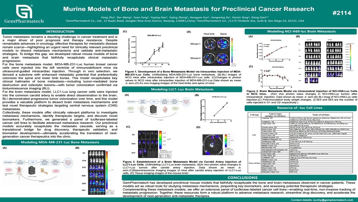 Murine Models of Bone and Brain Metastasis for Preclinical Cancer Research