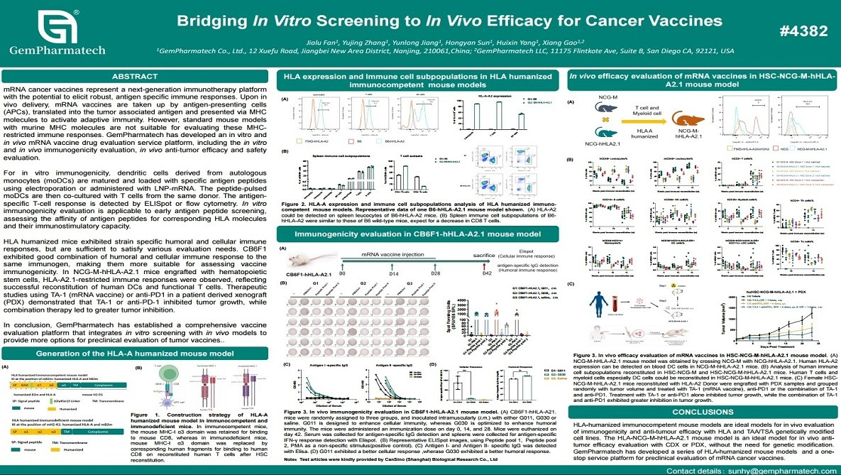 Bridging In Vitro Screening to In Vivo Efficacy for Cancer Vaccines