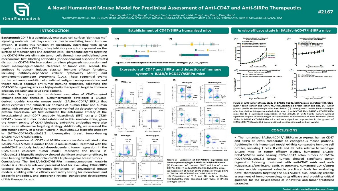 A Novel Humanized Mouse Model for Preclinical Assessment of Anti-CD47 and Anti-SIRPα Therapeutics
