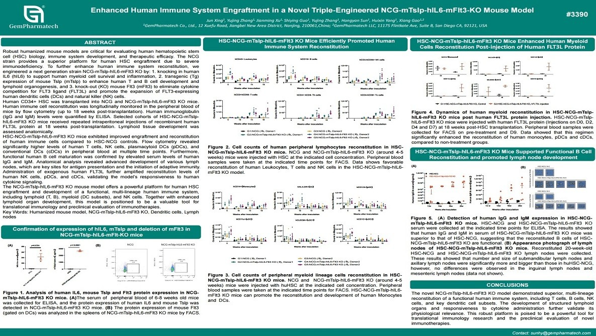 Enhanced Human Immune System Engraftment in a Novel Triple-Engineered NCG-mTslp-hIL6-mFlt3-KO Mouse Model