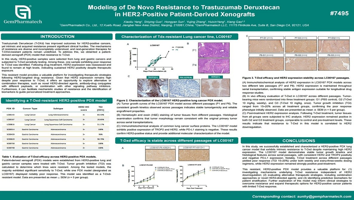 Modeling of De Novo Resistance to Trastuzumab Deruxtecan in HER2-Positive Patient-Derived Xenografts