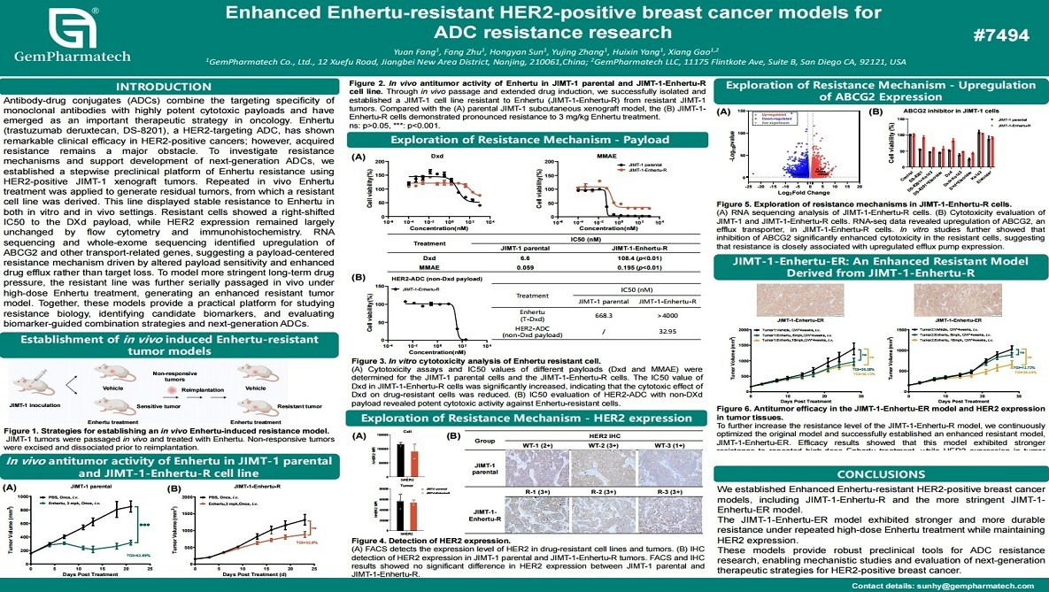 Enhanced Enhertu-Resistant HER2-Positive Breast Cancer Models for ADC Resistance Research