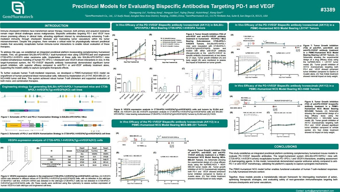 Preclinical Models for Evaluating Bispecific Antibodies Targeting PD-1 and VEGF
