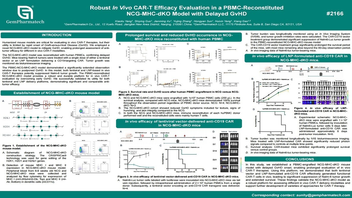 Robust In Vivo CAR-T Efficacy Evaluation in a PBMC-Reconstituted NCG-MHC-dKO Model with Delayed GvHD