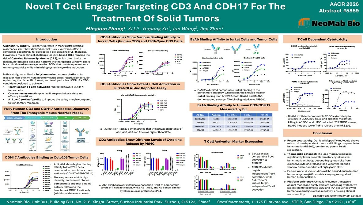 Novel T Cell Engager Targeting CD3 and CDH17 for the Treatment of Solid Tumors