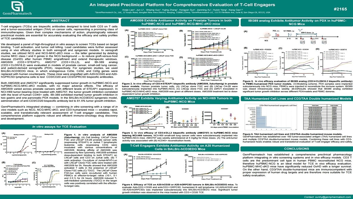 An Integrated Preclinical Platform for Comprehensive Evaluation of T-Cell Engagers