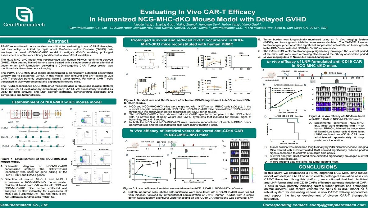 Evaluating In Vivo CAR-T Efficacy in Humanized NCG-MHC-dKO Mouse Model with Delayed GVHD