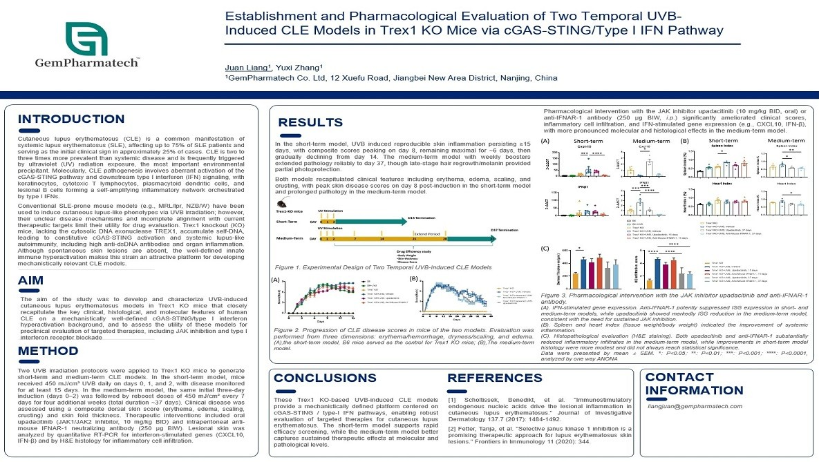 Establishment and Pharmacological Evaluation of Two Temporal UVB-Induced CLE Models in Trex1 KO Mice via cGAS-STING/Type I IFN Pathway