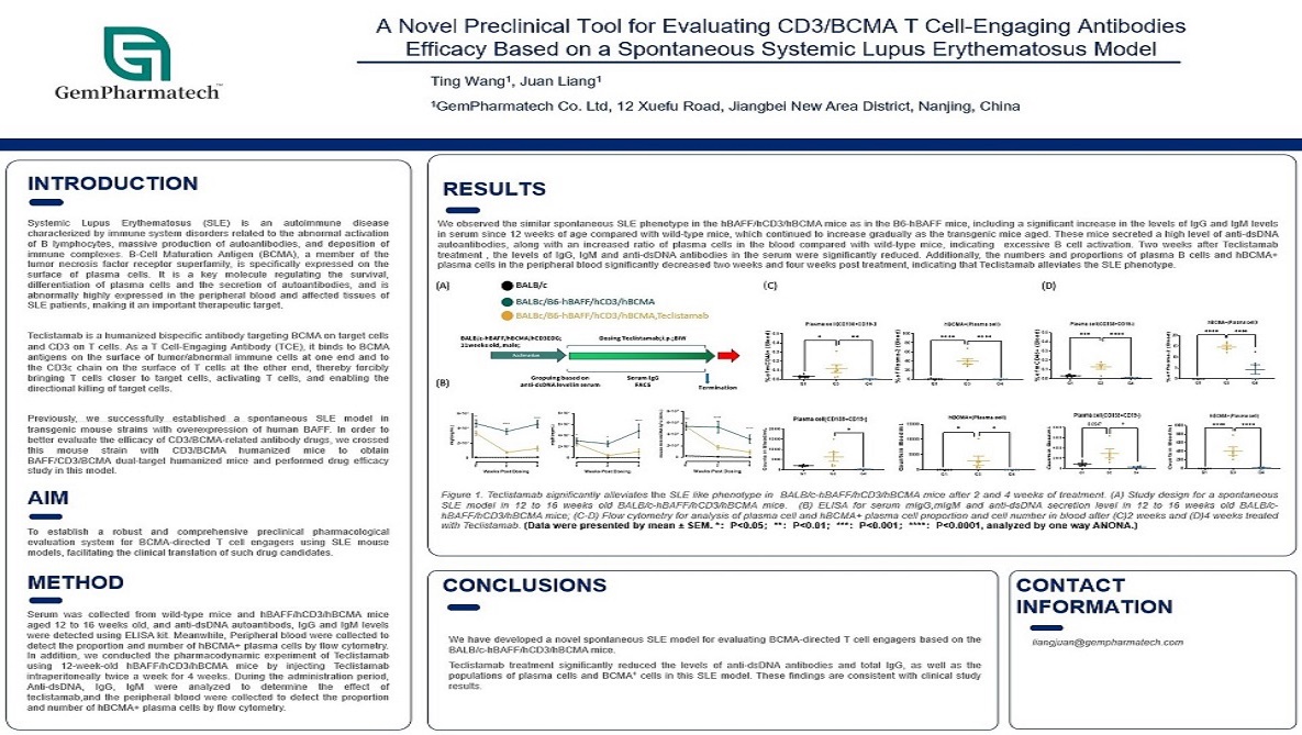 A Novel Preclinical Tool for Evaluating CD3/BCMA T Cell-Engaging Antibodies Efficacy Based on a Spontaneous Systemic Lupus Erythematosus Model