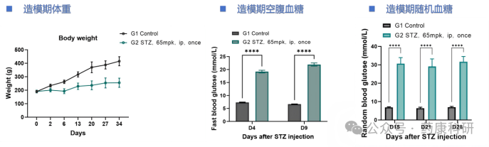 1ba25370456f13e53edd250fd4bf6508.png